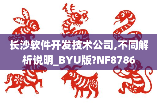 长沙软件开发技术公司,不同解析说明_BYU版?NF8786