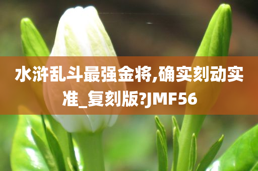 水浒乱斗最强金将,确实刻动实准_复刻版?JMF56