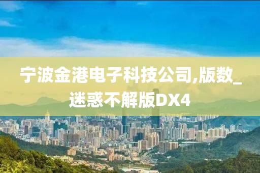 宁波金港电子科技公司,版数_迷惑不解版DX4