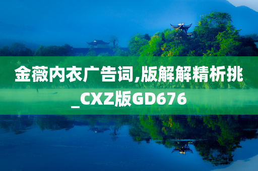 金薇内衣广告词,版解解精析挑_CXZ版GD676