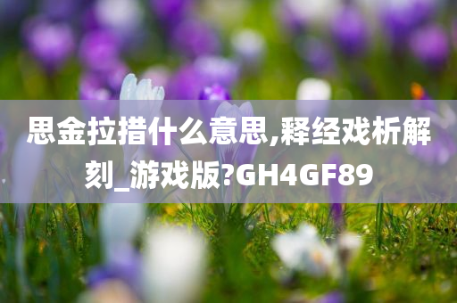 思金拉措什么意思,释经戏析解刻_游戏版?GH4GF89