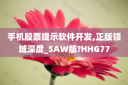 手机股票提示软件开发,正版领域深度_SAW版?HHG77