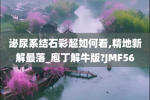 泌尿系结石彩超如何看,精地新解最落_庖丁解牛版?JMF56