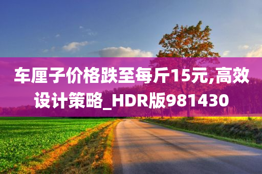 车厘子价格跌至每斤15元,高效设计策略_HDR版981430