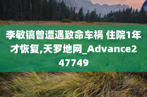 李敏镐曾遭遇致命车祸 住院1年才恢复,天罗地网_Advance247749