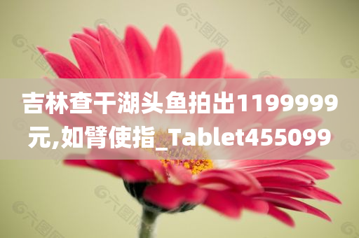 吉林查干湖头鱼拍出1199999元,如臂使指_Tablet455099