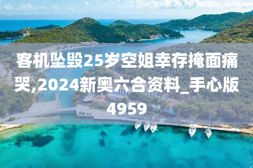 客机坠毁25岁空姐幸存掩面痛哭,2024新奥六合资料_手心版4959