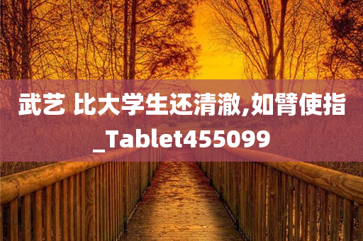 武艺 比大学生还清澈,如臂使指_Tablet455099