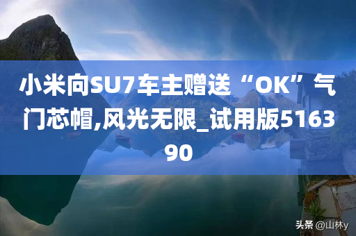 小米向SU7车主赠送“OK”气门芯帽,风光无限_试用版516390