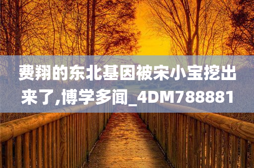 费翔的东北基因被宋小宝挖出来了,博学多闻_4DM788881