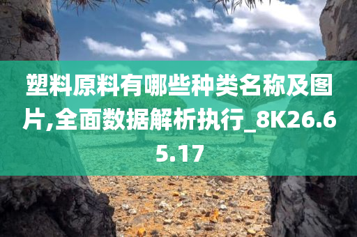 塑料原料有哪些种类名称及图片,全面数据解析执行_8K26.65.17