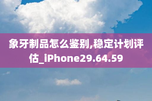 象牙制品怎么鉴别,稳定计划评估_iPhone29.64.59