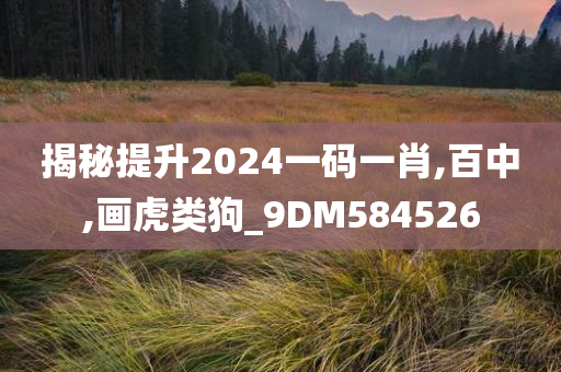 揭秘提升2024一码一肖,百中,画虎类狗_9DM584526