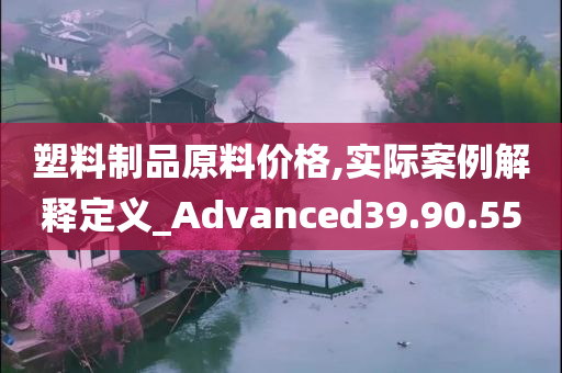 塑料制品原料价格,实际案例解释定义_Advanced39.90.55