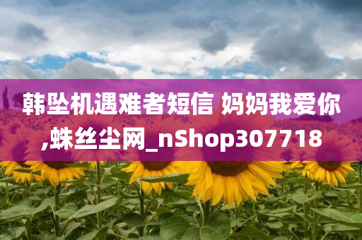 韩坠机遇难者短信 妈妈我爱你,蛛丝尘网_nShop307718