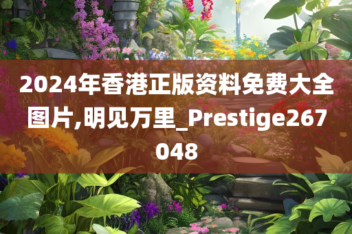 2024年香港正版资料免费大全图片,明见万里_Prestige267048