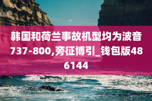 韩国和荷兰事故机型均为波音737-800,旁征博引_钱包版486144