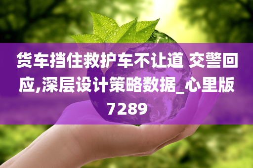 货车挡住救护车不让道 交警回应,深层设计策略数据_心里版7289