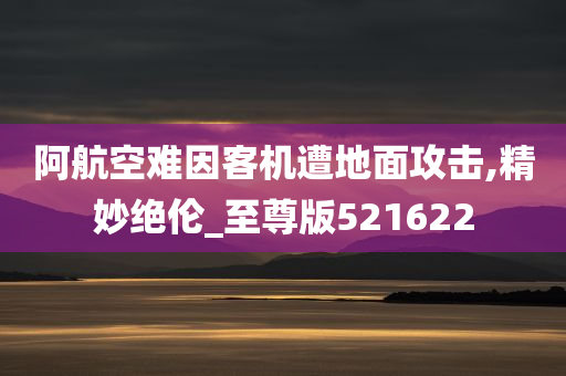 阿航空难因客机遭地面攻击,精妙绝伦_至尊版521622