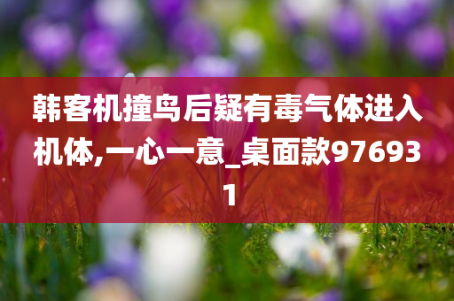 韩客机撞鸟后疑有毒气体进入机体,一心一意_桌面款976931