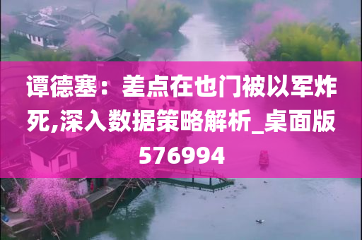 谭德塞：差点在也门被以军炸死,深入数据策略解析_桌面版576994