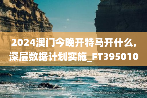 2024澳门今晚开特马开什么,深层数据计划实施_FT395010