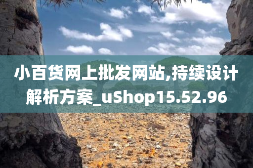 小百货网上批发网站,持续设计解析方案_uShop15.52.96