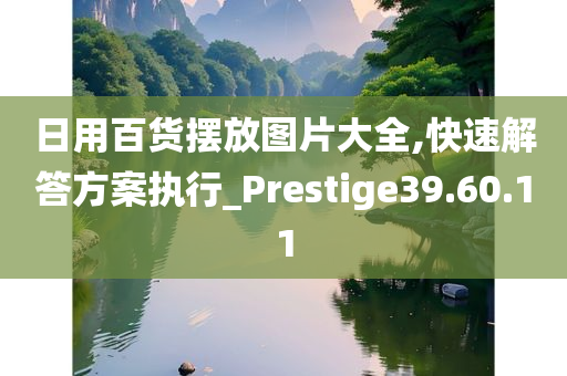 日用百货摆放图片大全,快速解答方案执行_Prestige39.60.11