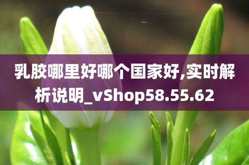 乳胶哪里好哪个国家好,实时解析说明_vShop58.55.62