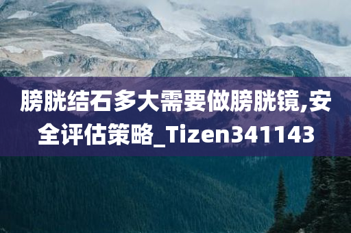 膀胱结石多大需要做膀胱镜,安全评估策略_Tizen341143