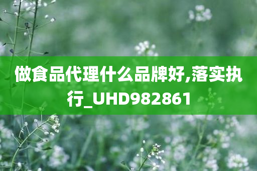 做食品代理什么品牌好,落实执行_UHD982861