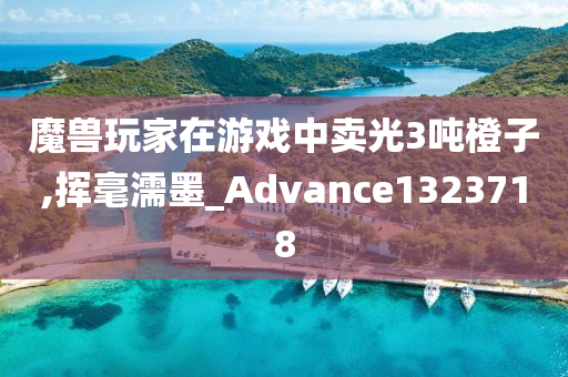 魔兽玩家在游戏中卖光3吨橙子,挥毫濡墨_Advance1323718