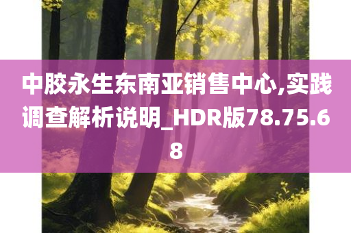 中胶永生东南亚销售中心,实践调查解析说明_HDR版78.75.68