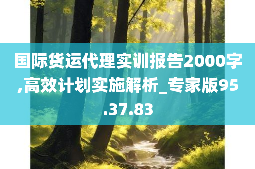 国际货运代理实训报告2000字,高效计划实施解析_专家版95.37.83