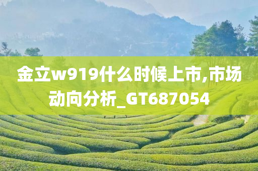 金立w919什么时候上市,市场动向分析_GT687054