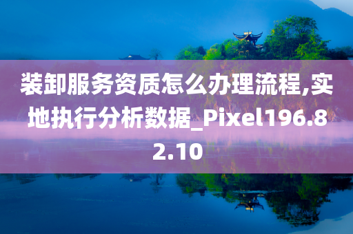 装卸服务资质怎么办理流程,实地执行分析数据_Pixel196.82.10