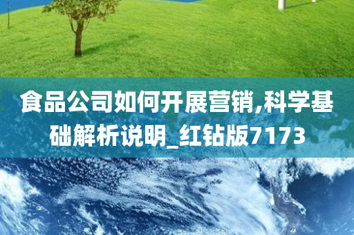 食品公司如何开展营销,科学基础解析说明_红钻版7173