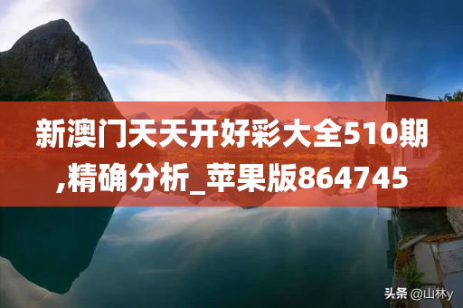 新澳门天天开好彩大全510期,精确分析_苹果版864745