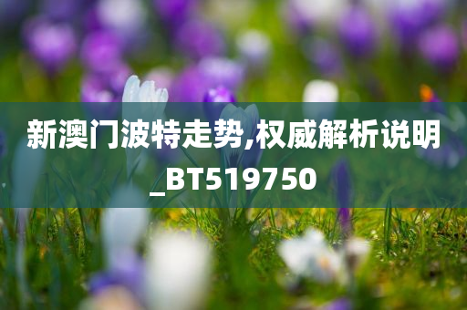 新澳门波特走势,权威解析说明_BT519750