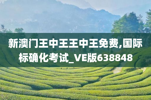 新澳门王中王王中王免费,国际标确化考试_VE版638848