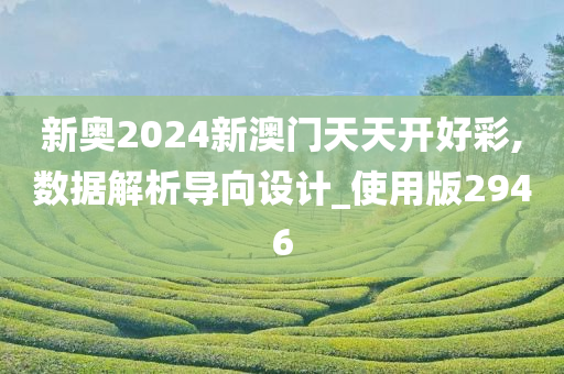 新奥2024新澳门天天开好彩,数据解析导向设计_使用版2946