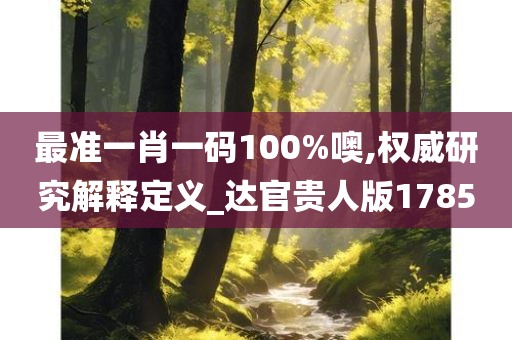 最准一肖一码100%噢,权威研究解释定义_达官贵人版1785