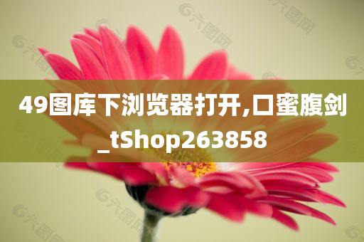 49图库下浏览器打开,口蜜腹剑_tShop263858