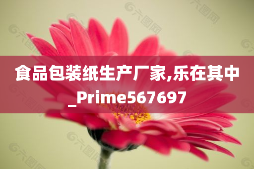 食品包装纸生产厂家,乐在其中_Prime567697