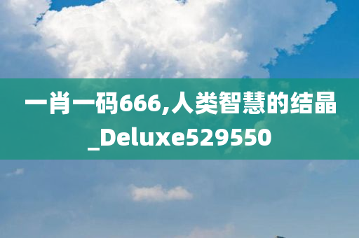 一肖一码666,人类智慧的结晶_Deluxe529550