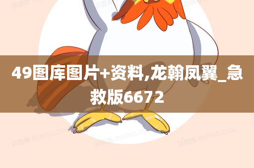 49图库图片+资料,龙翰凤翼_急救版6672