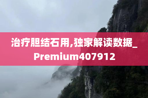 治疗胆结石用,独家解读数据_Premium407912