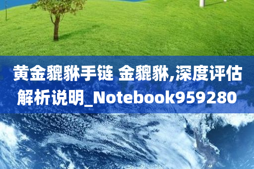 黄金貔貅手链 金貔貅,深度评估解析说明_Notebook959280