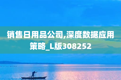 销售日用品公司,深度数据应用策略_L版308252