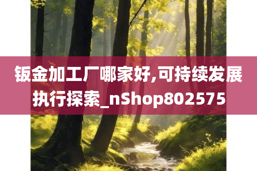 钣金加工厂哪家好,可持续发展执行探索_nShop802575